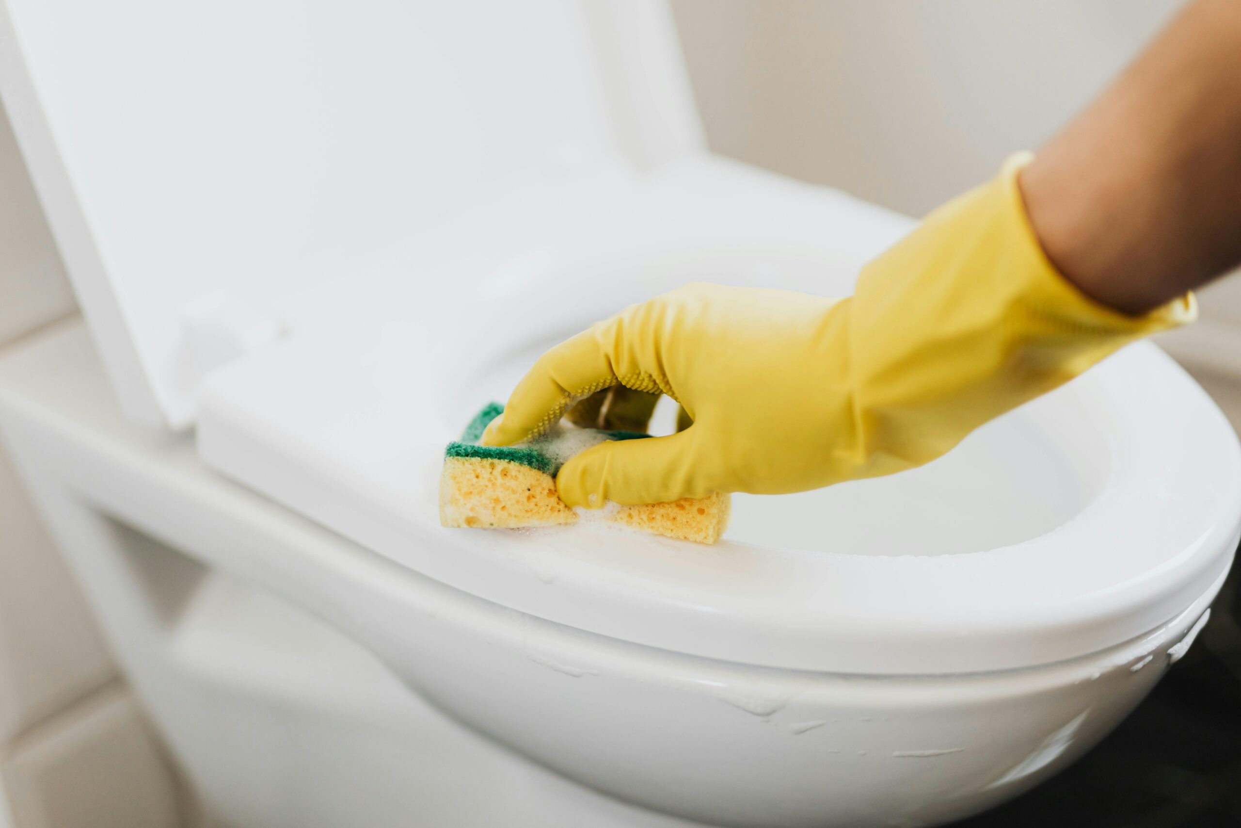 Bathroom Cleaning Services