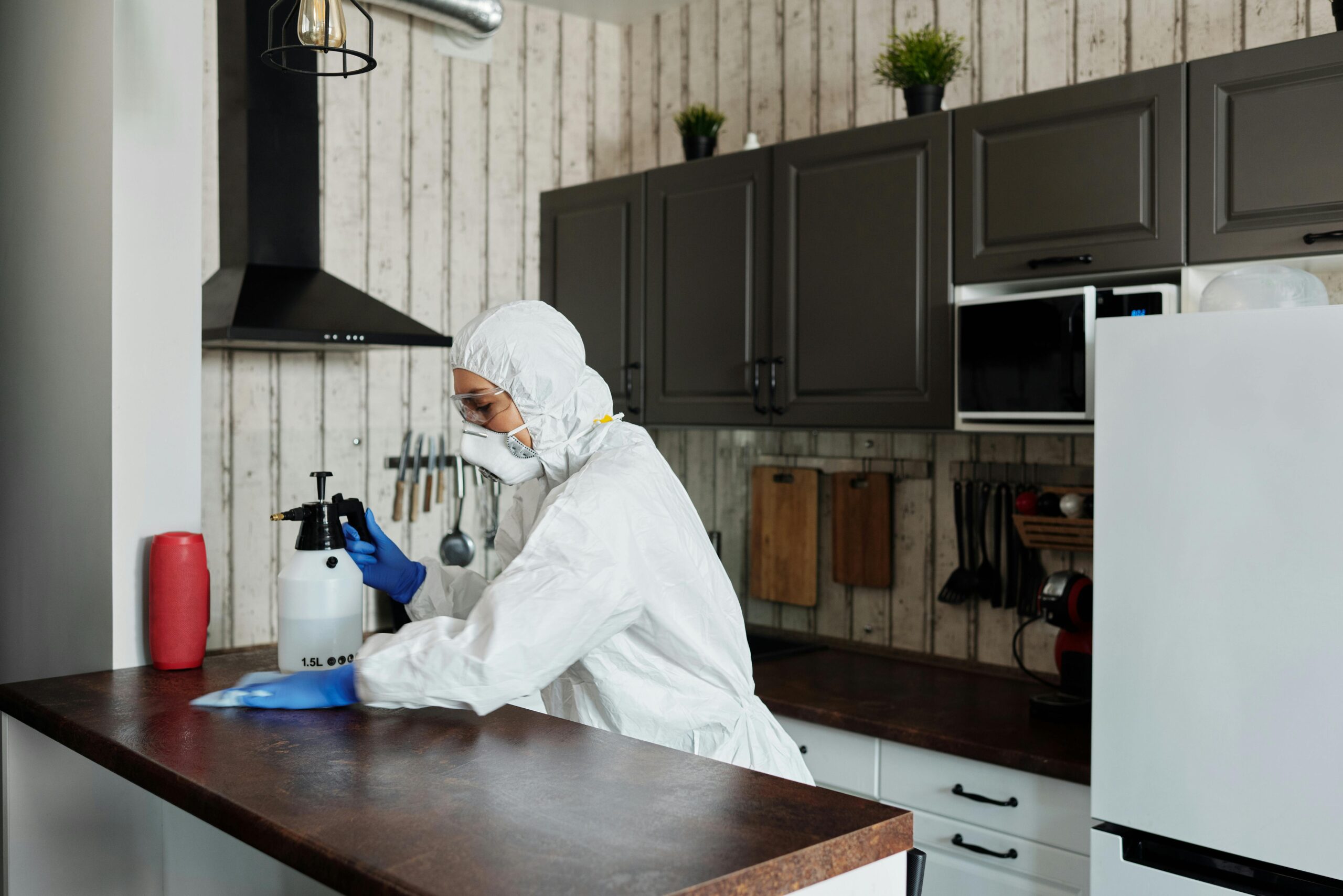 Kitchen Cleaning Demonstration